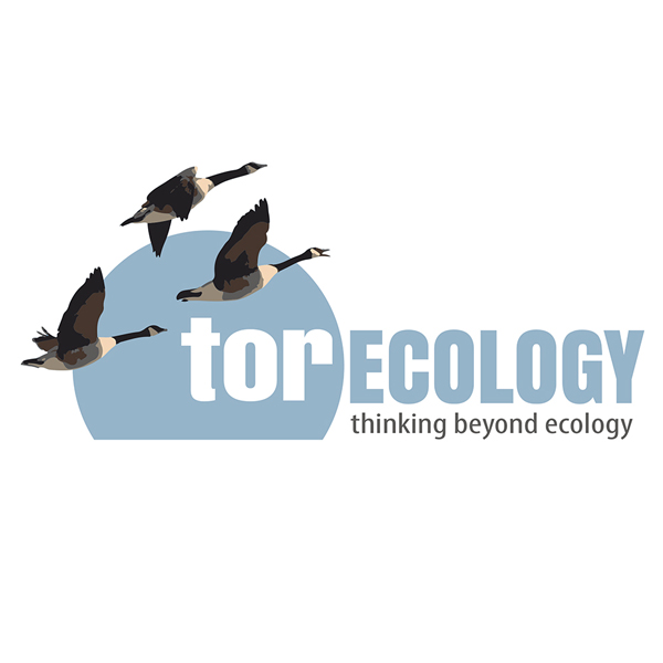 Tor Ecology Logo