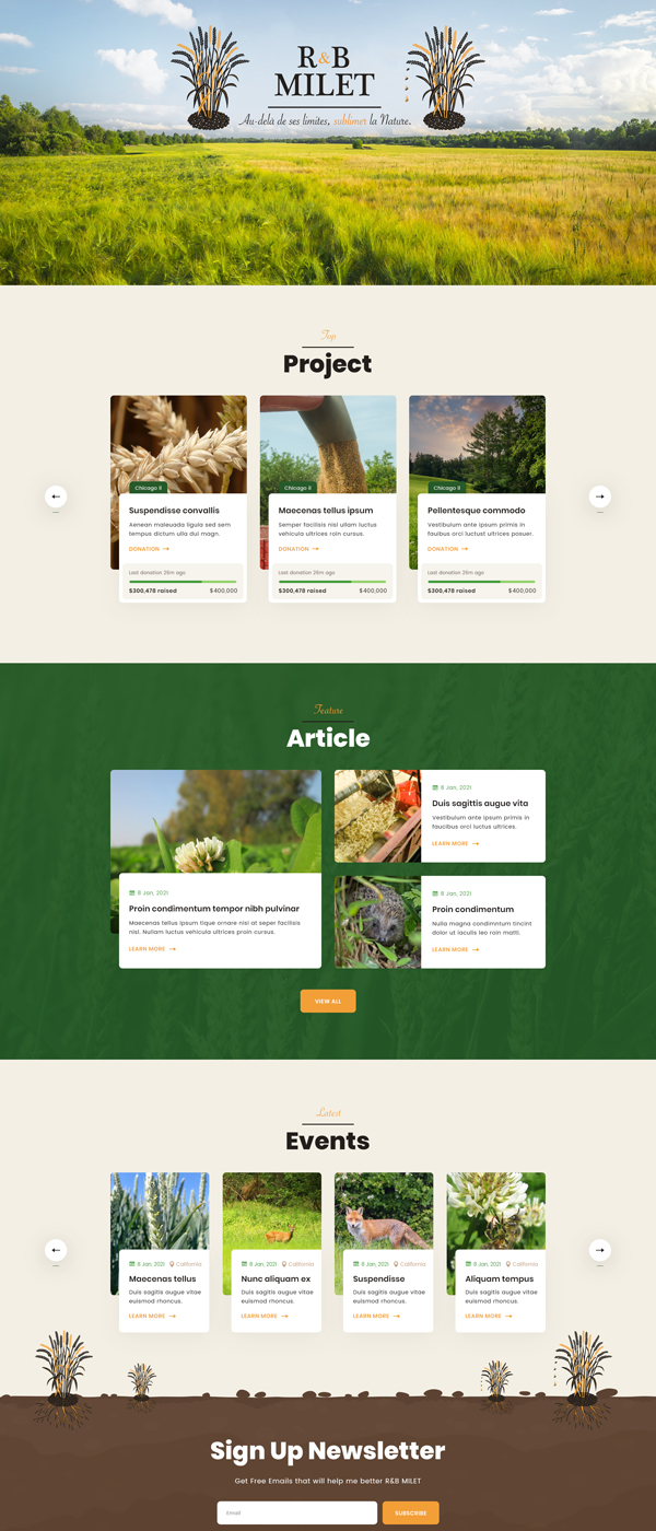 modèle de site web design gratuit