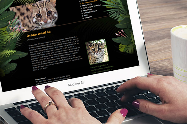 Wild Cat Breeder MacBook Air