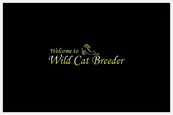 Wild Cat Breeder - Logo Design
