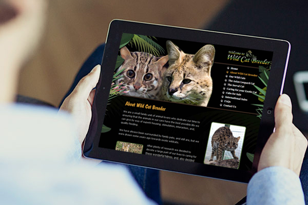 Wild Cat Breeder Tablet